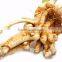 Grade A Horseradish root HACCP from dalian