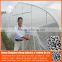 best product hdpe plastic wire mesh agriculture greenhouse vegetable and fruit anti-insect net , nylon insect net