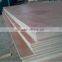 Bintangor Plywood from Vietnam