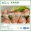 Meat mashroom vegetables low temperature high humidity air unfreezing equipment thawer