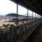 Dairy   cowhouse  Hanging cow  fan