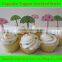 Umbrella Cocktail Burger Decor Picks