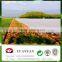 Anti UV non woven fabric for agriculture product