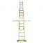 Anti-aging never fade custom step extension ladder