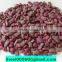 pet care dog food puppy formula