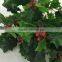Artificial holly plant branch with red berries for xmas decoration