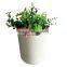 Endurable Best design Popular bamboo fiber flower pot