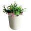 Biological Natural No pollution Bamboo Fiber Flower Pot