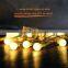 10m Globe String Lights Warm White Ball Christmas Light