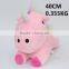 New Arrival Dolls Unicorn Horse Anime Plush Cute Toys 40cm