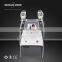 Cryo Lipolysis Weight Loss Cellulite Reduction Body Slimming Machine