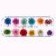 Factory wholesale dry flower nail art for dried flowers sale