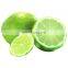 Premium  Fresh Fruit Green Sour Taste Seedless Lemon Lime For Beverages Juice Drinks From Vietnam