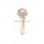 Custom High Quality Various Types Lock Keys Blank