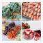 Home mini fruit vacuum freeze drying machine