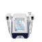 Portable Radiofrequency Sculpting Cellulite Reduction Fat Dissolving Body Contouring 10 Handles Monopolar RF Trusculpt Machine