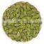 Shine skin pumpkin seeds in shell China origin in high quality