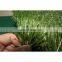 16800 Density wall wedding decoration grass carpet best quality artificial grass price in karachi