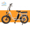 China mid drive vintage electric bike for sale/bicicleta electrica ebike  /electric bicycle from factory