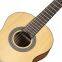 Guitar supplier OTIS 36 inch Matt Spruce Plywood Classical Guitar C2