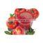 500kg tomato paste processing plant