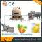 pineapple pulp processing line