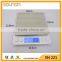 1000g 0.1g Digital Pocket Scale, Electronic Scale, Digit Scale from Factory