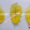 Wholesale Feather Natural Craft Yellow Ostrich Feather Bulk For Wedding Decorations
