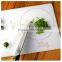 pe chopping boards/ chopping block