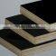Film Faced Plywood China Supplier