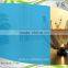 high gloss sheet,high gloss film,high gloss transparent blue PET film