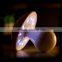 LED Mushroom Light
