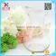 2015 hot sales Glass Vases home decoration flower glass vases