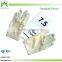 Disposable Latex Surgical Gloves Slightly Powdered or Powder Free