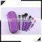 10 pcs Professional Makeup Brushes Set