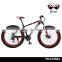 New design 27S aluminum fat tire bicycles,OEM available