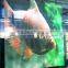 High Resolution p10 Full Colour Waterproof Outdoor Led Display