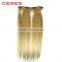 xuchang ceres cheap clip in hair extensions, 100% synthetic hair, top quality clip hair