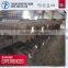 galvanized equal iron steel angle 