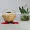Decoration Wooden Color Resin High Heel Flower Pot