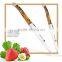 Acrylic Handle Laguiole Decorate Bee Steak Knife