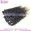 Wholesale unprocessed high quality 100% virgin indian deep curly hair clip in extensions