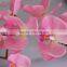 Factory Direct Cheap Real Touch Indoor Potted Pink Butterfly Orchid Flower Artificial Plants
