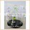 glass bell cloche jars with wooden base wholesale