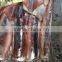 Good Fresh Illex Squid