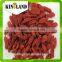 Ningxia goji berry with best price