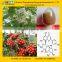 GMP Factory Supply Top Quality Hawthorn Berry Extract/Hawthorn Leaf Extract