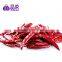 Bright Red Chaotian Dry Chili Pepepr