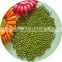 JSX 2016 new crop mung dal Heilongjiang Origin new crop green mung bean