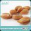 apricot kernel for puree and jam